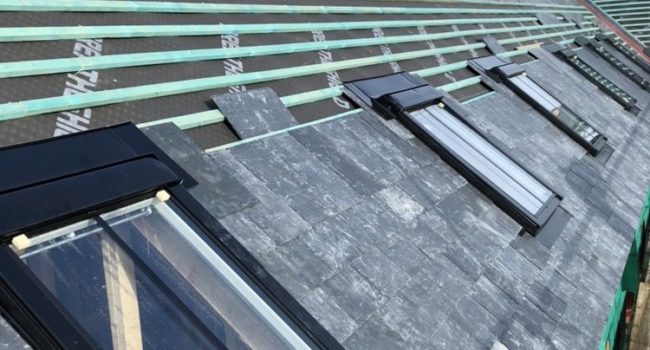 Roof Lights and Windows